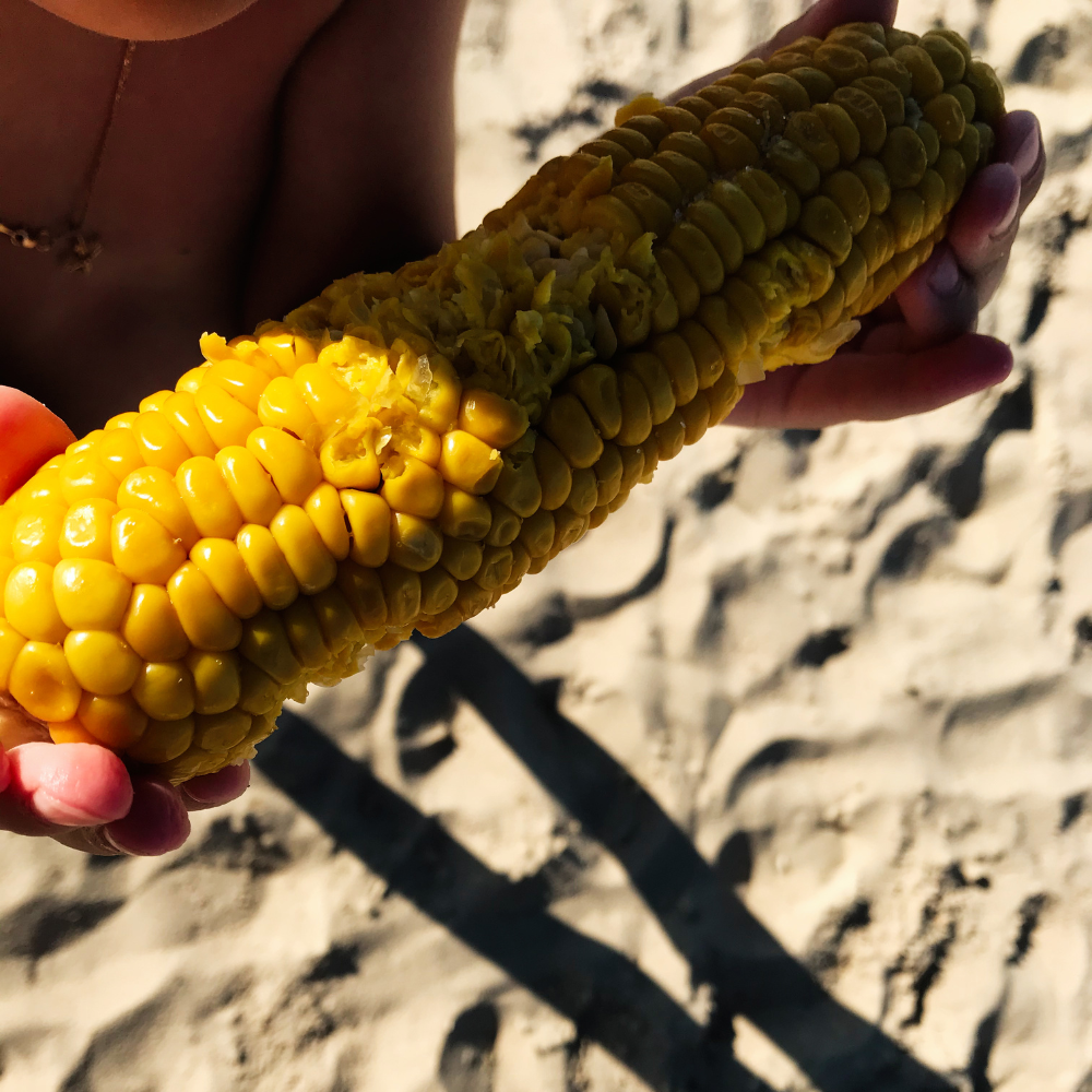 Canadas iconic food image5