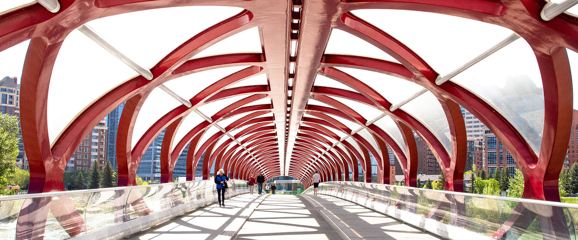 The best moments to discover Calgary, Canada