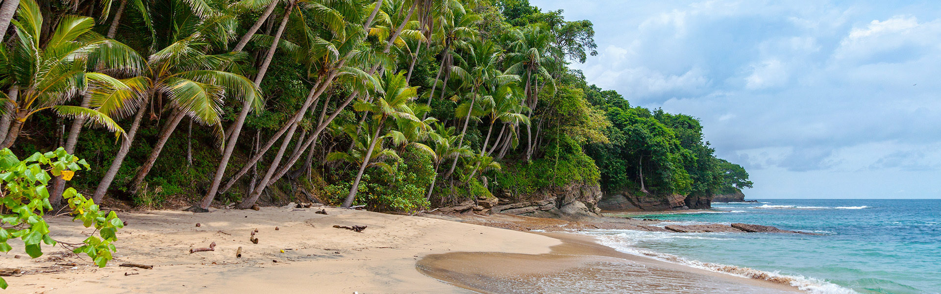 Caraïbes