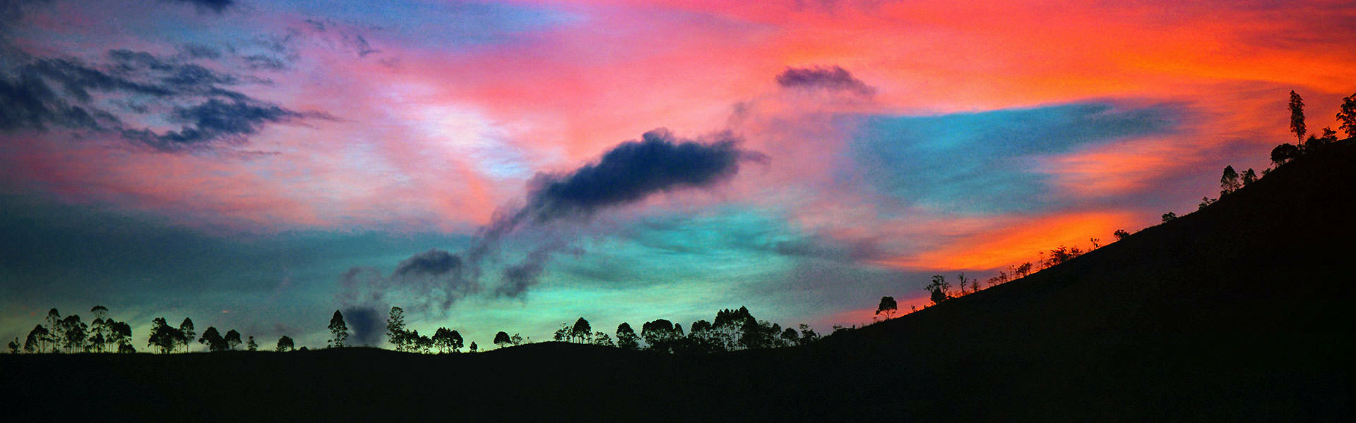 Coming Home Sunset
