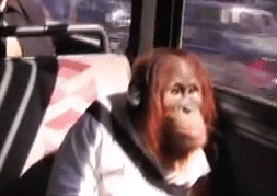 Hicanada Commute3