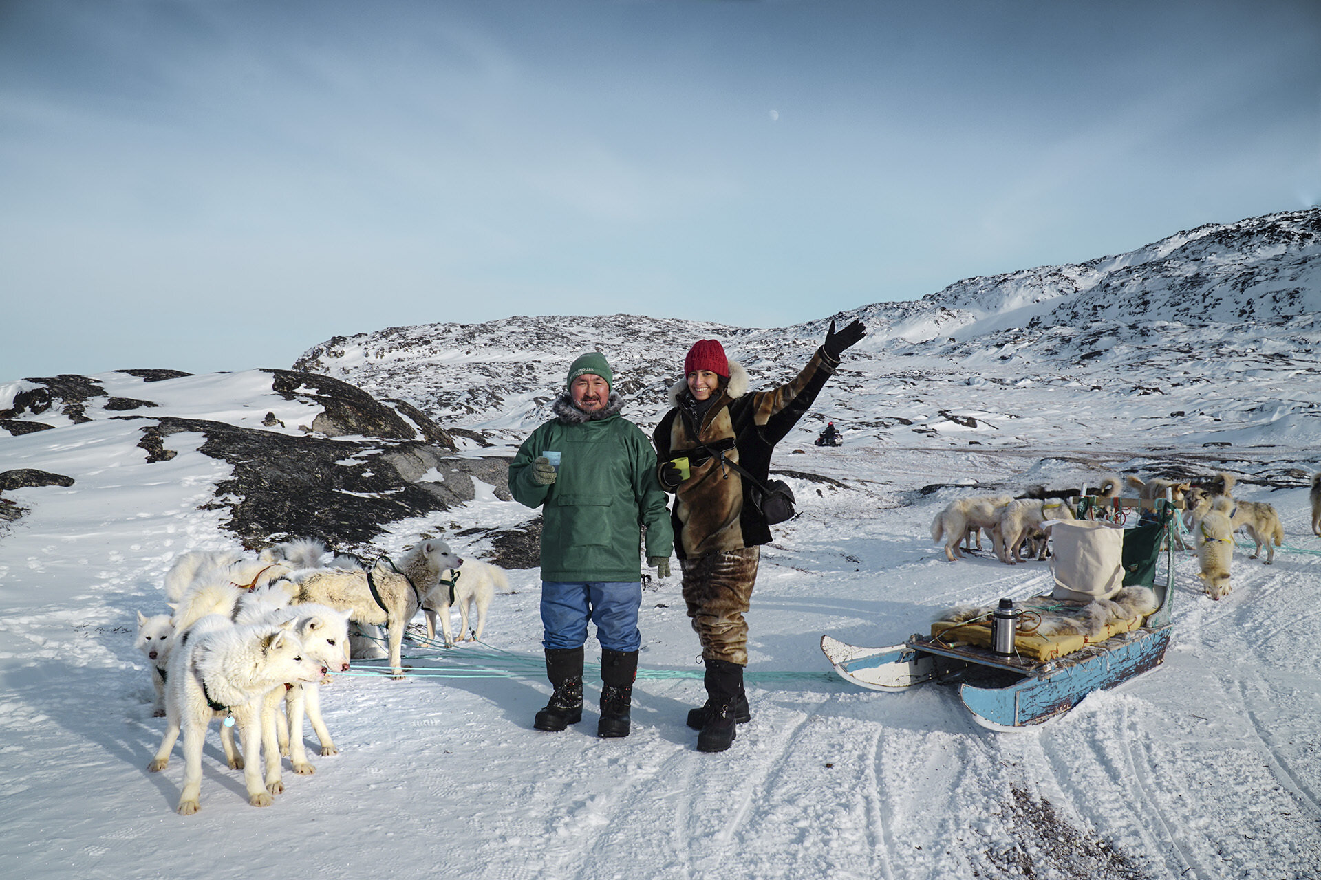 Dogsledding In Greenland
