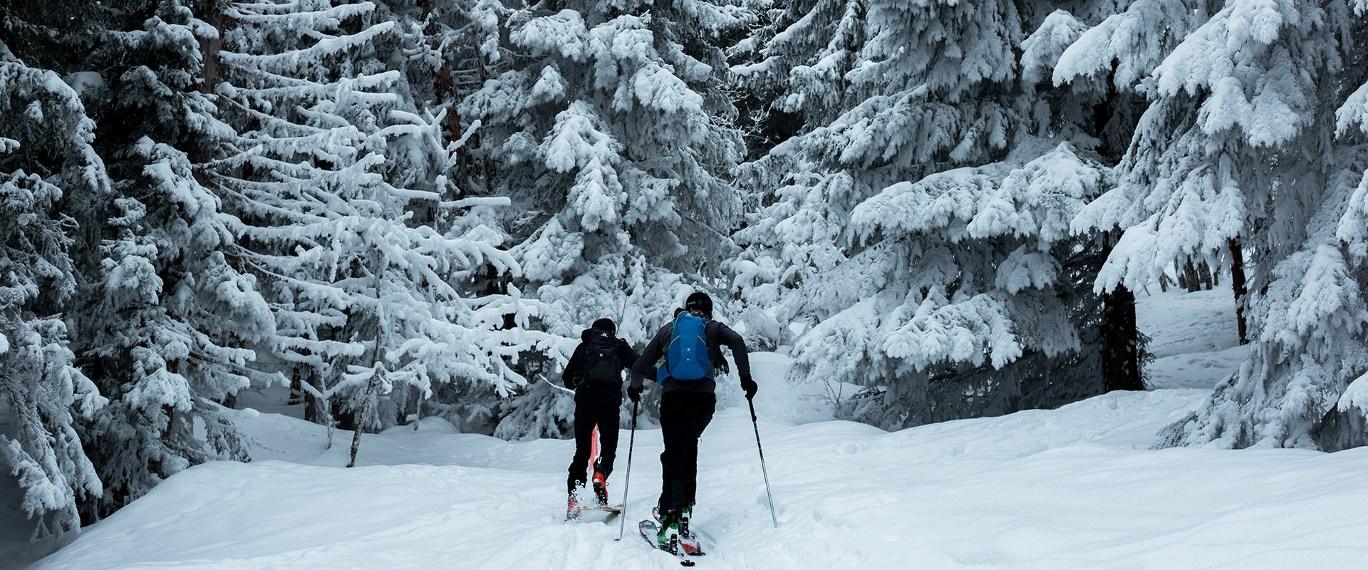 Ski de fond au Manitoba