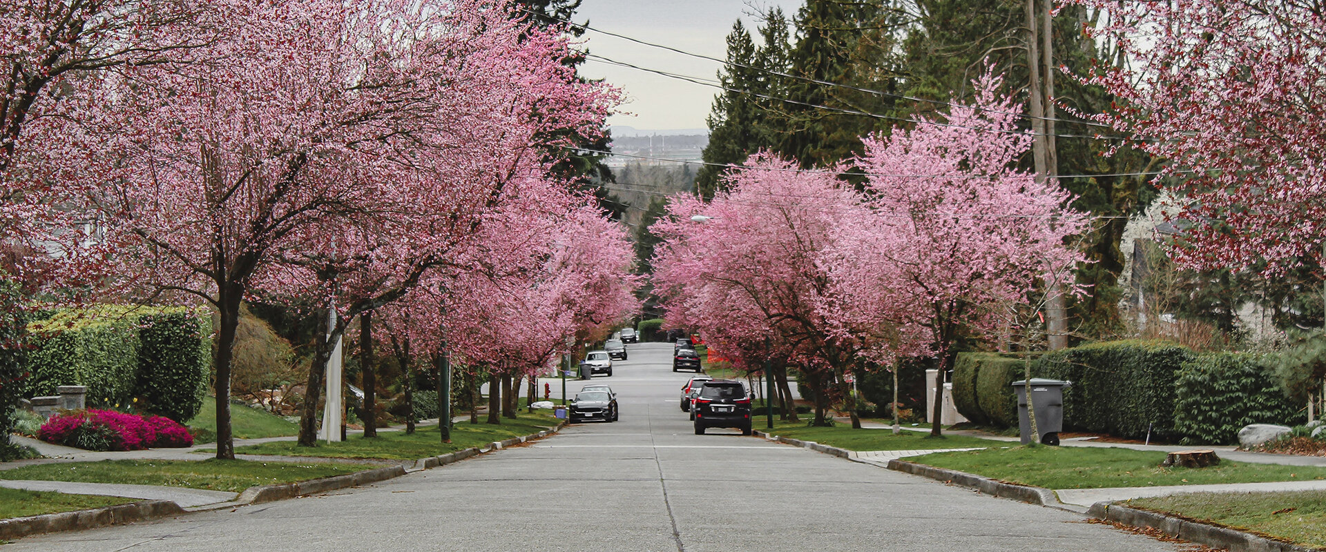 HI Canada The best places in Canada to experience spring