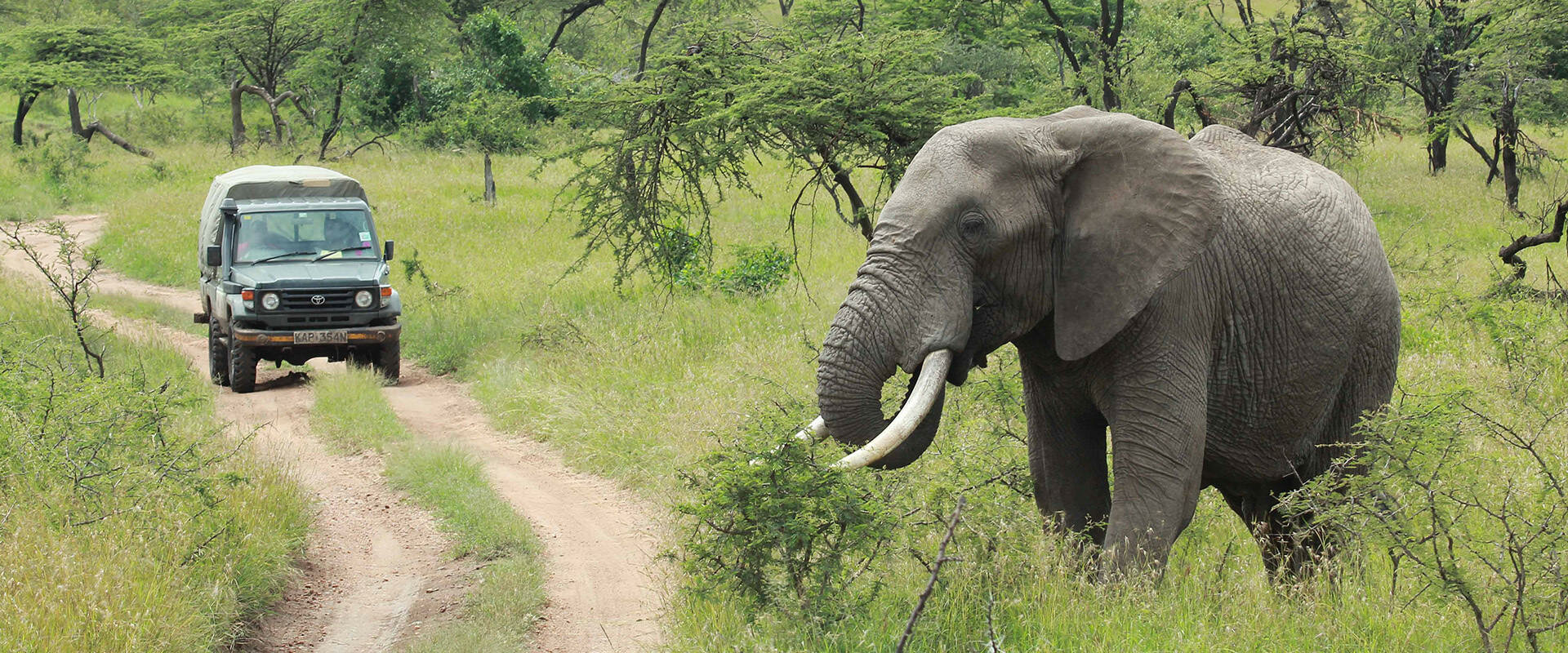 Safari in Sri Lanka