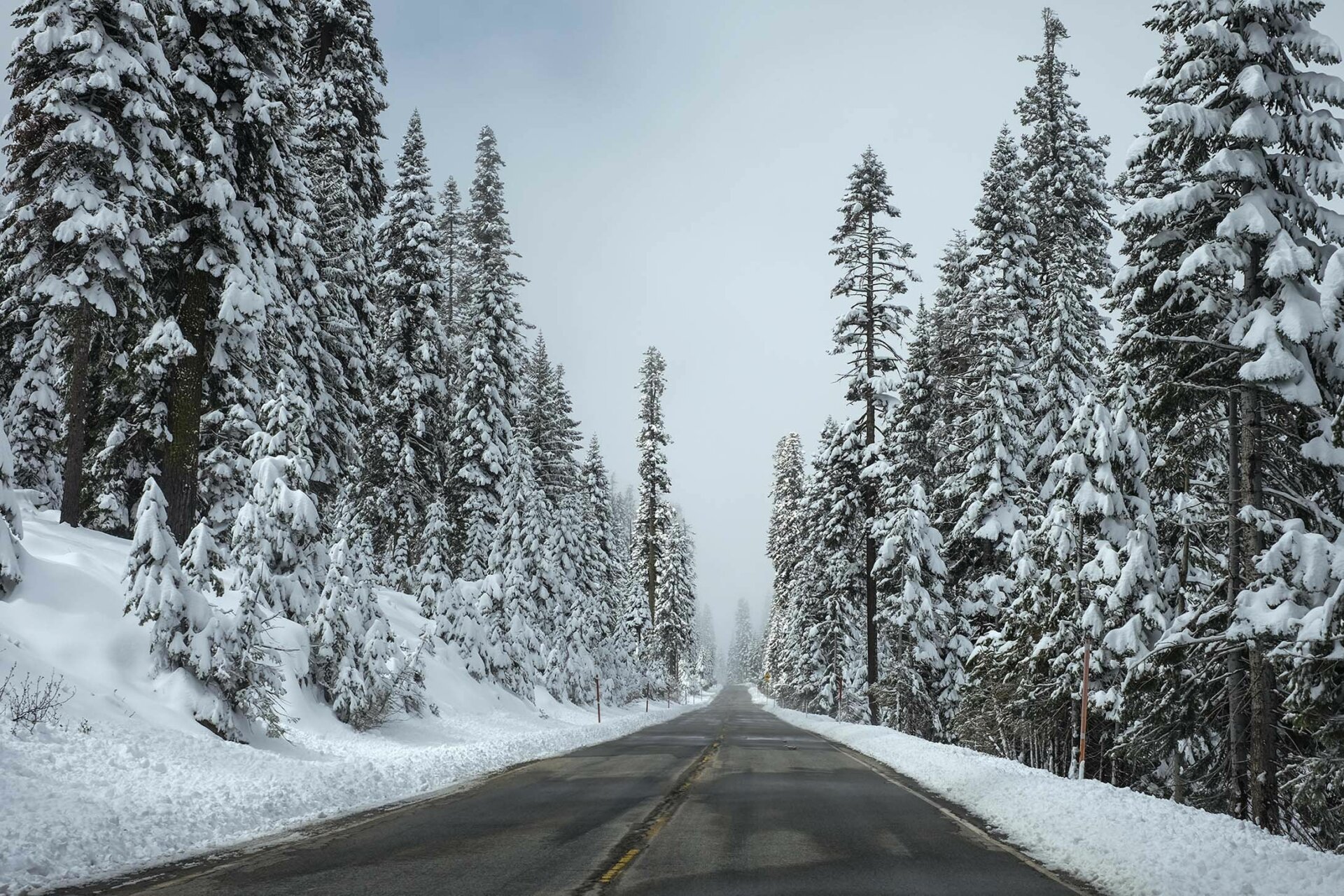 Winter Road