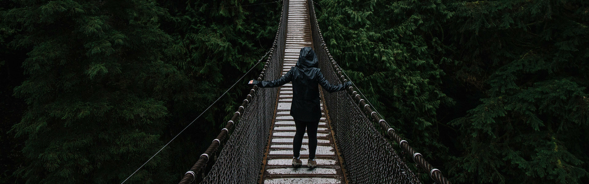 Lynn Canyon Park free activity