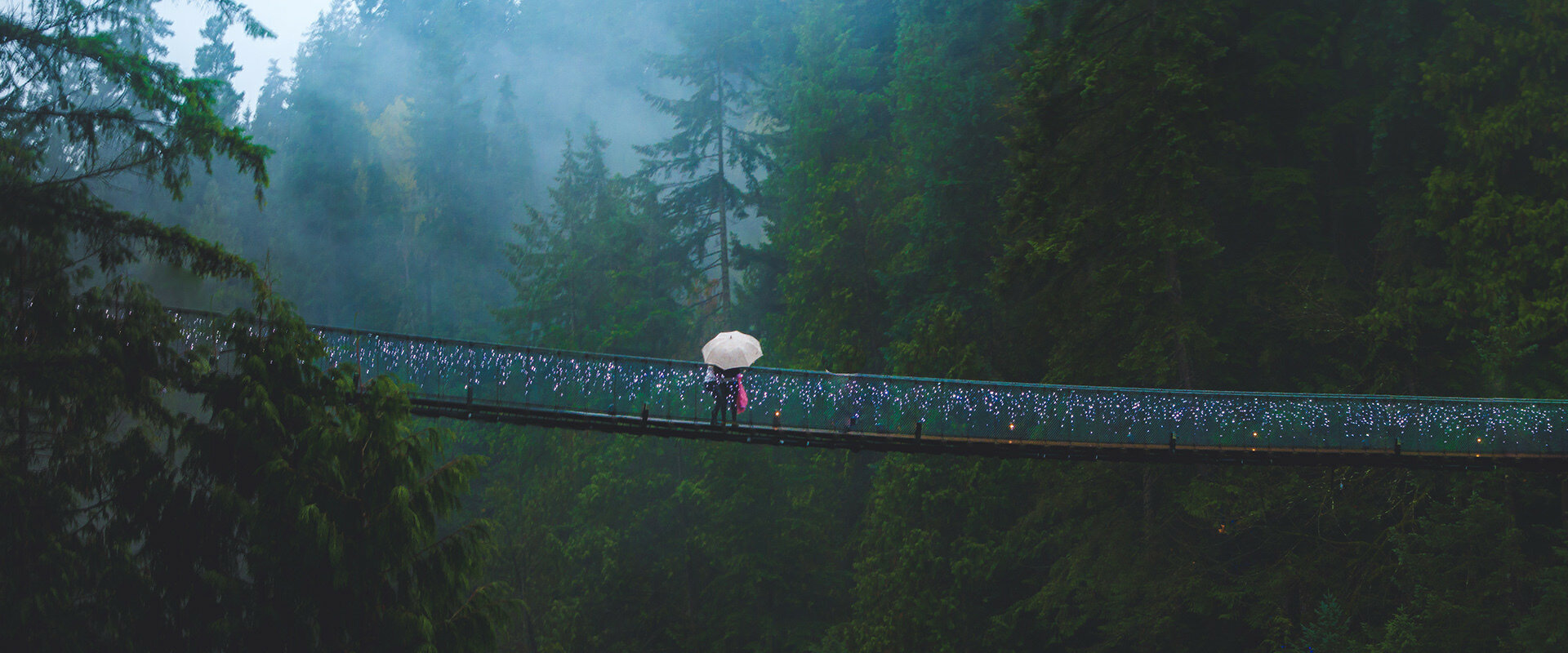 Winter in west: is it raining a lot?