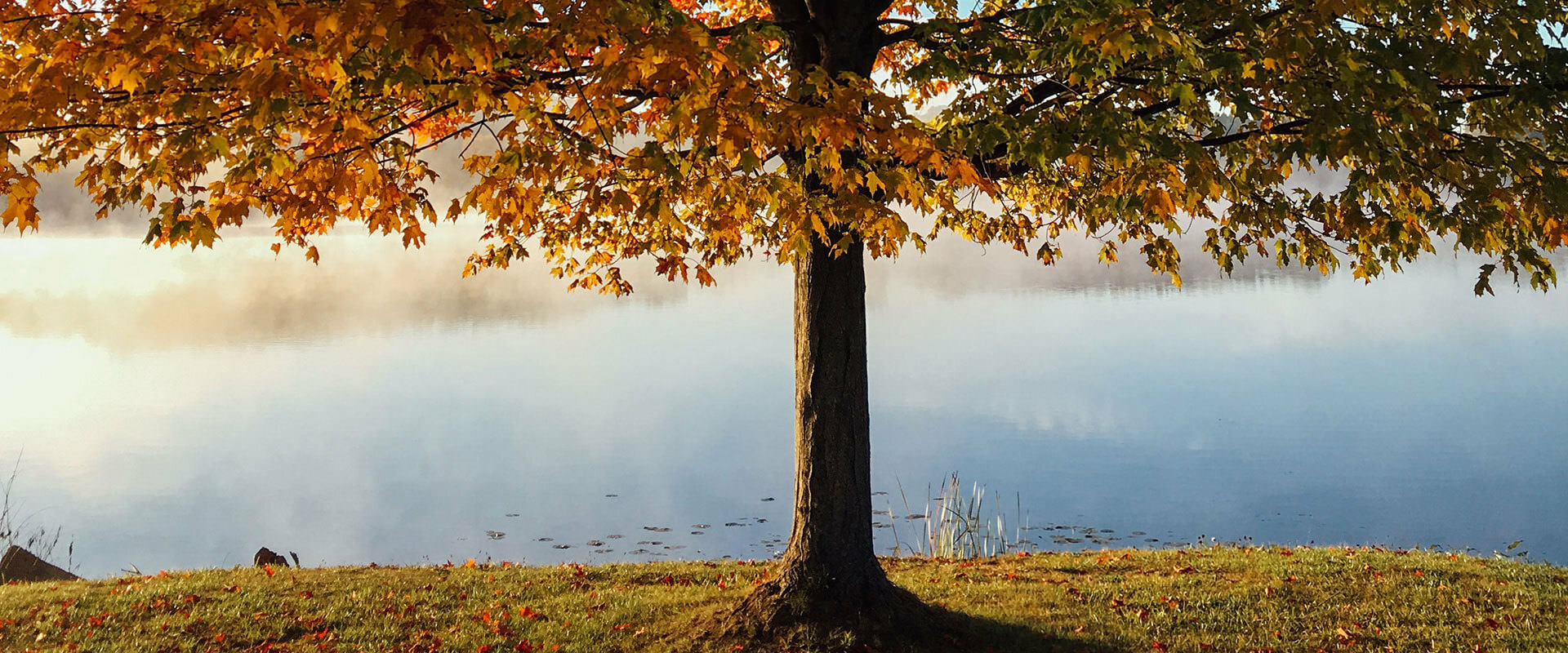 Crisp Fall Day
