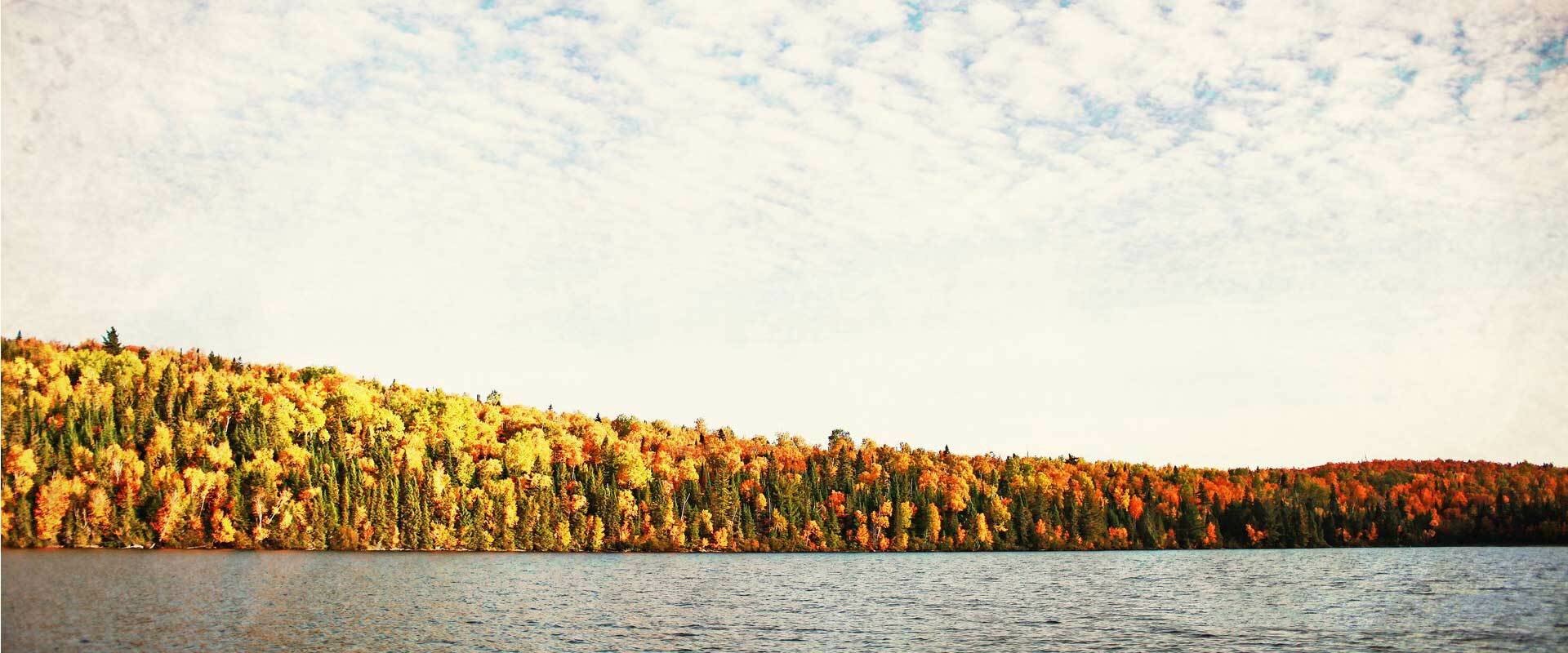 Stuck Canada Colours
