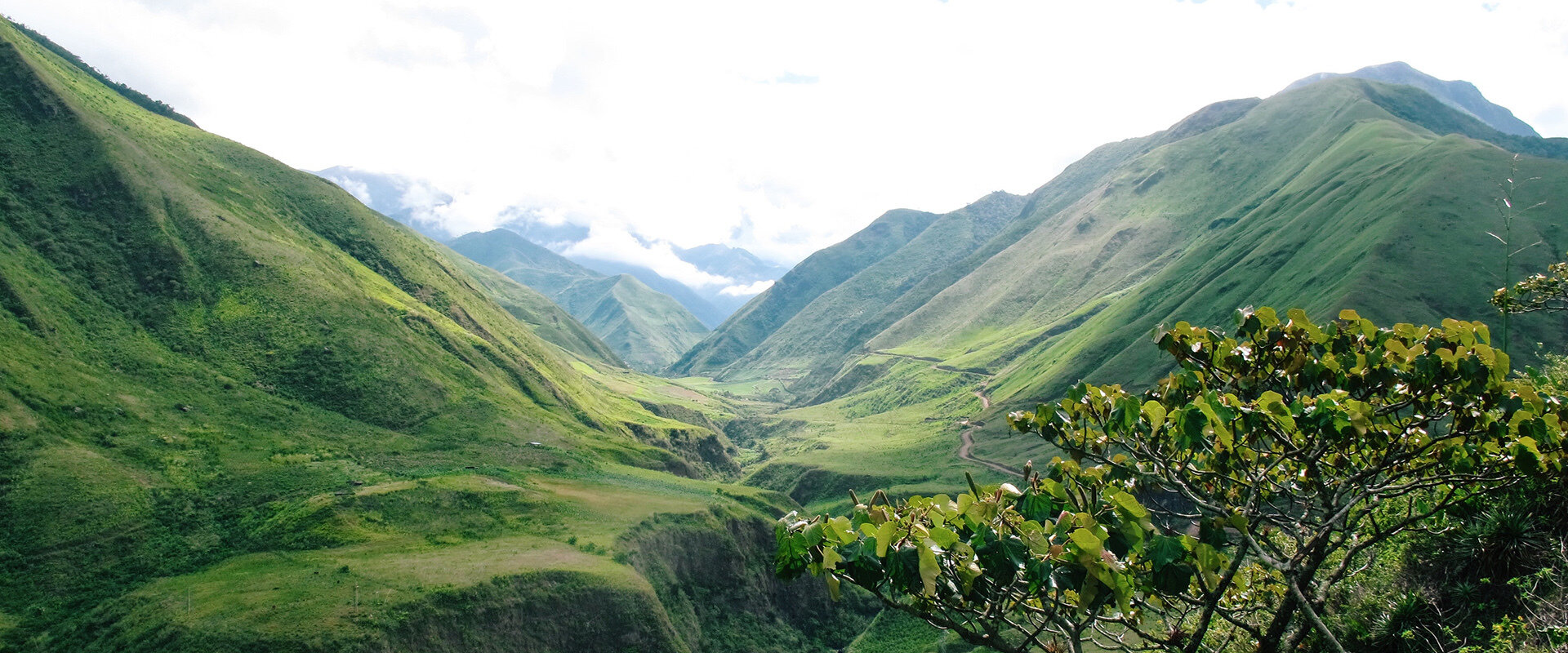 Getting lost for new year eve in Ecuador