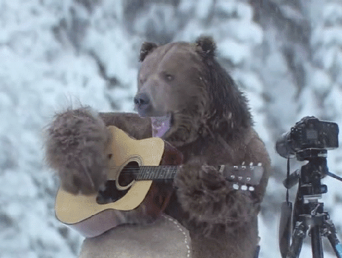 Bear Playing the Guitar