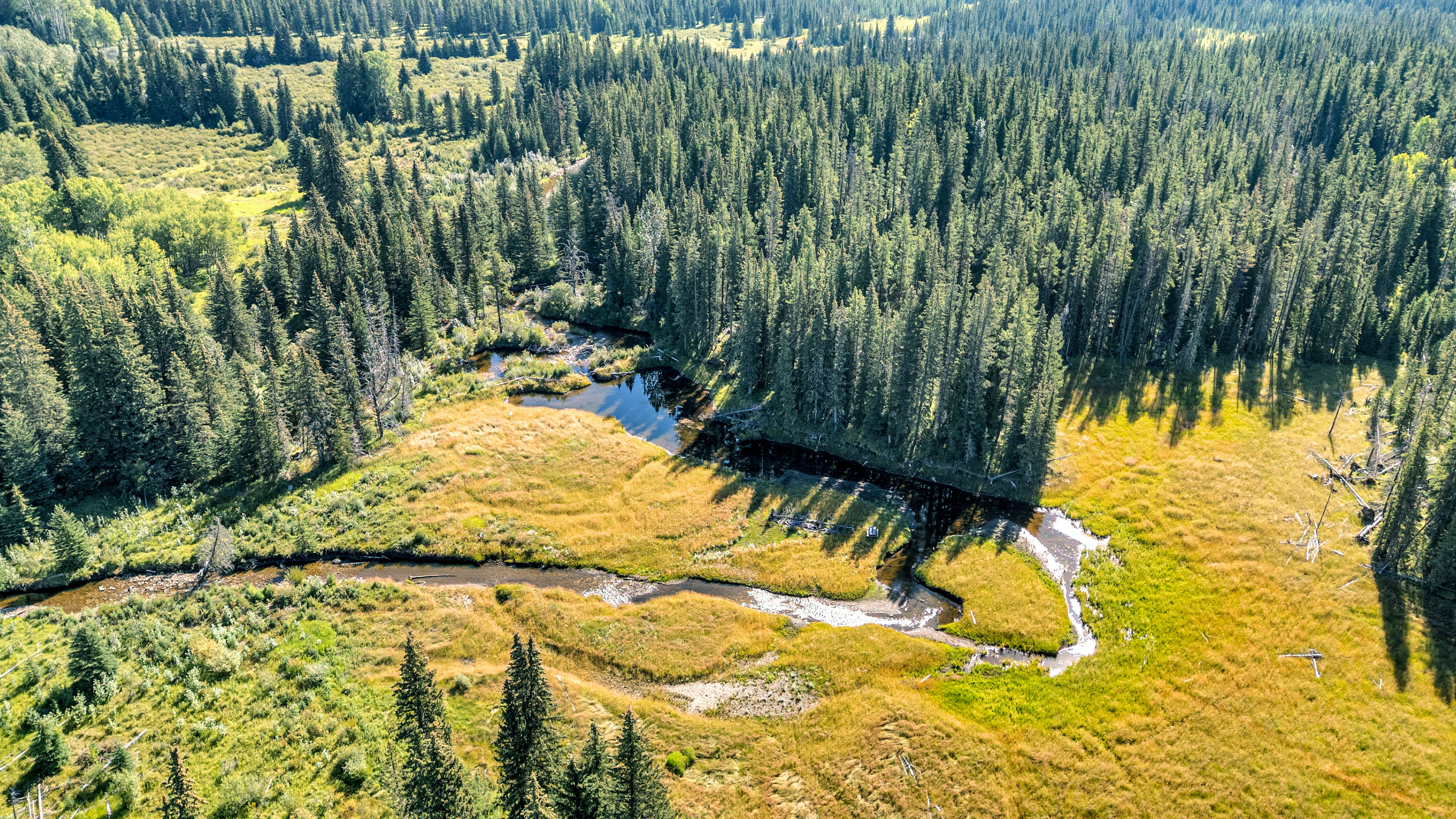 DJI 20250822111549 0007 D