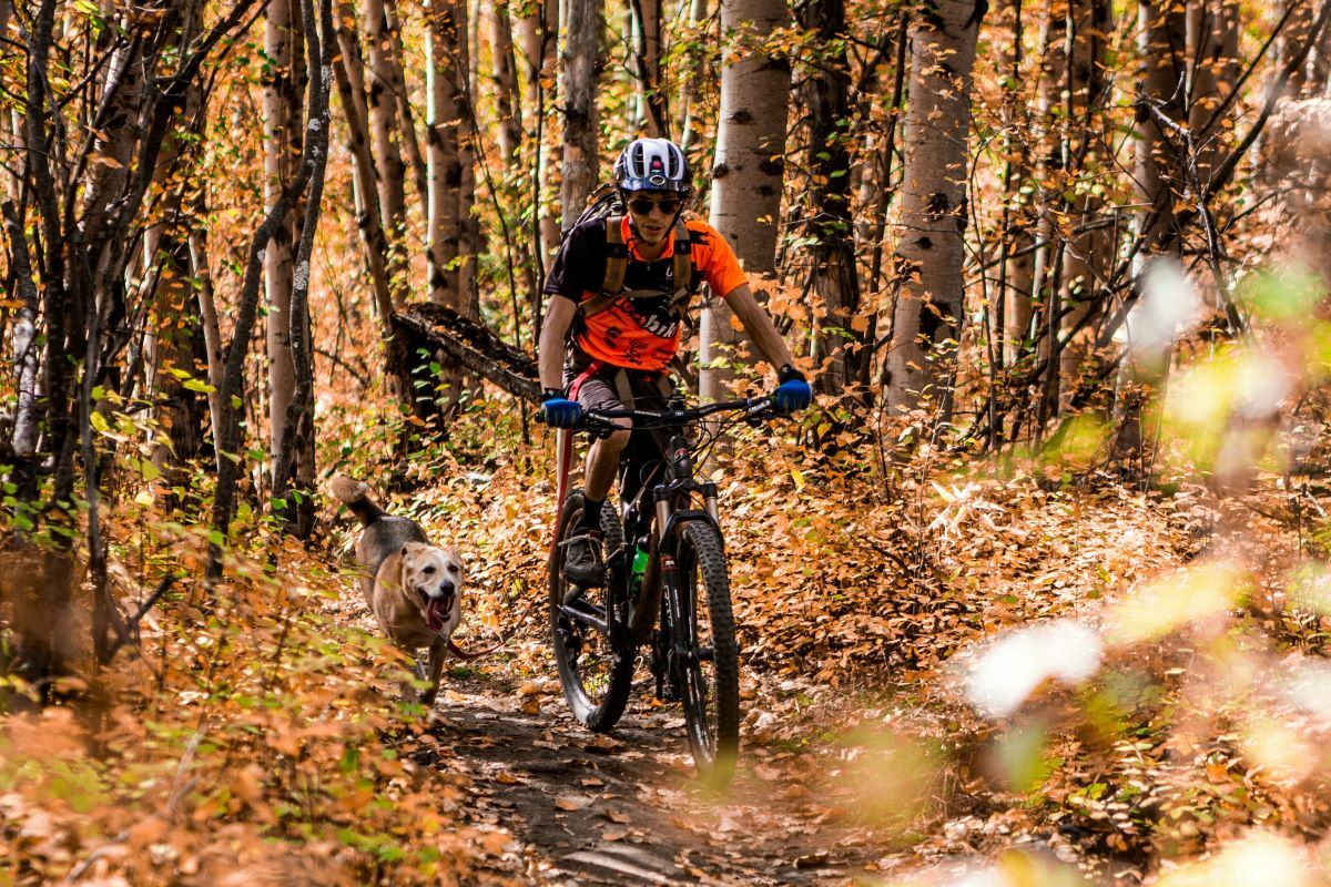 Cemetary Loop Photocredit Tourism Fernie Raven Eye