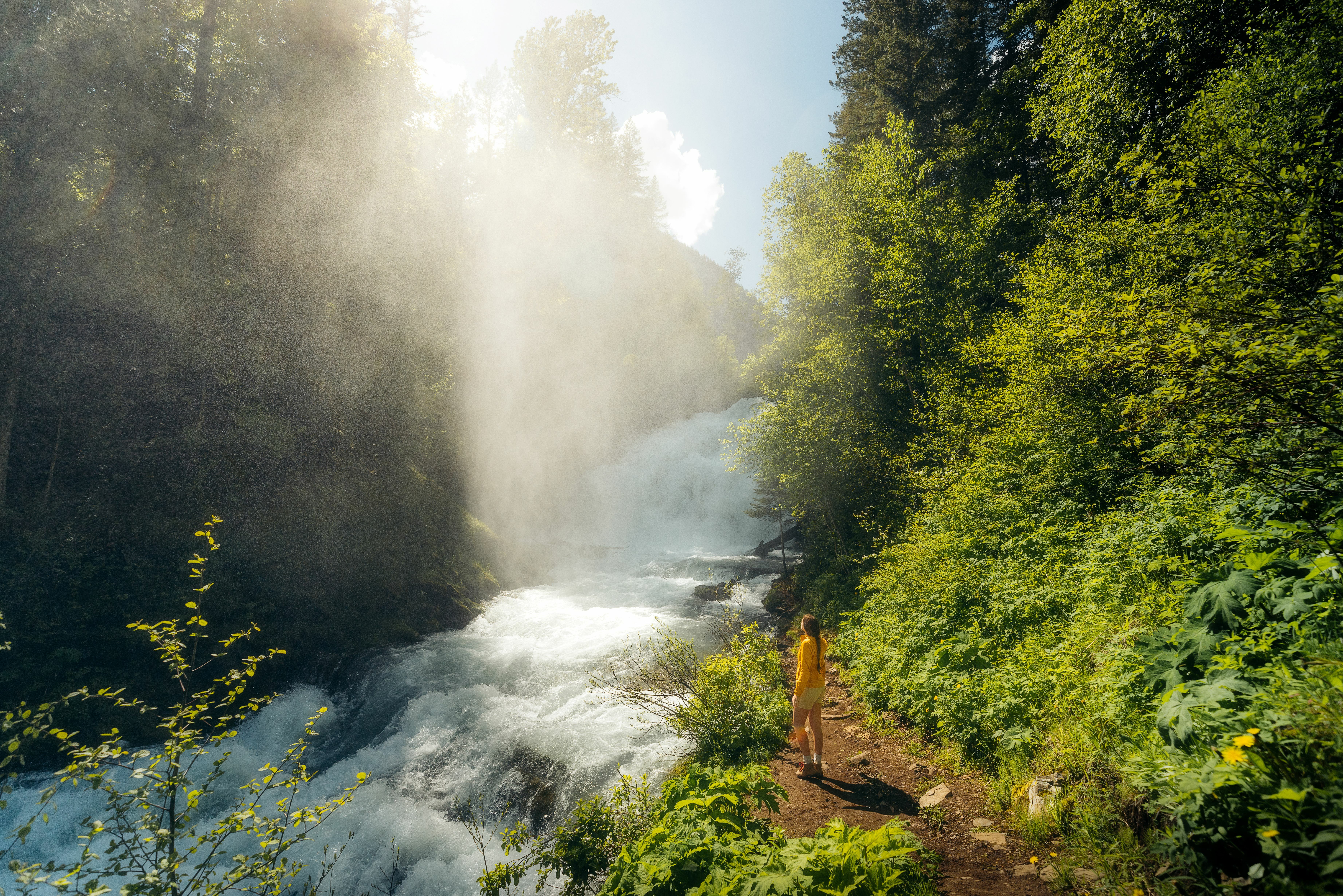 Fairy Creek Photo credit Tourism Fernie Josh Mc Cabe