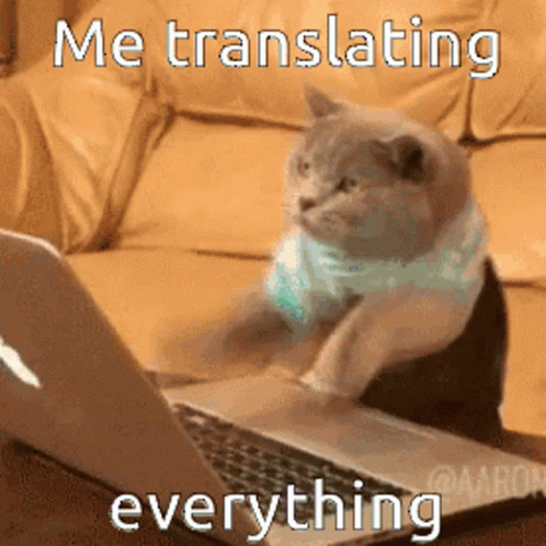 Me translating everything cat computer